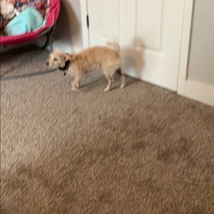 Meet your Posher, Mariah